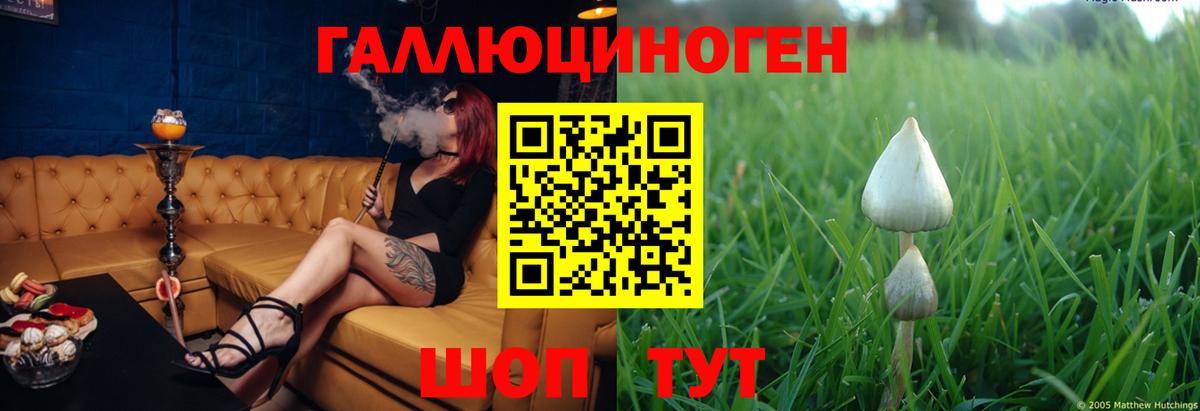 Урай  Псилоцибиновые грибы Psilocybe  Вход с VPN 